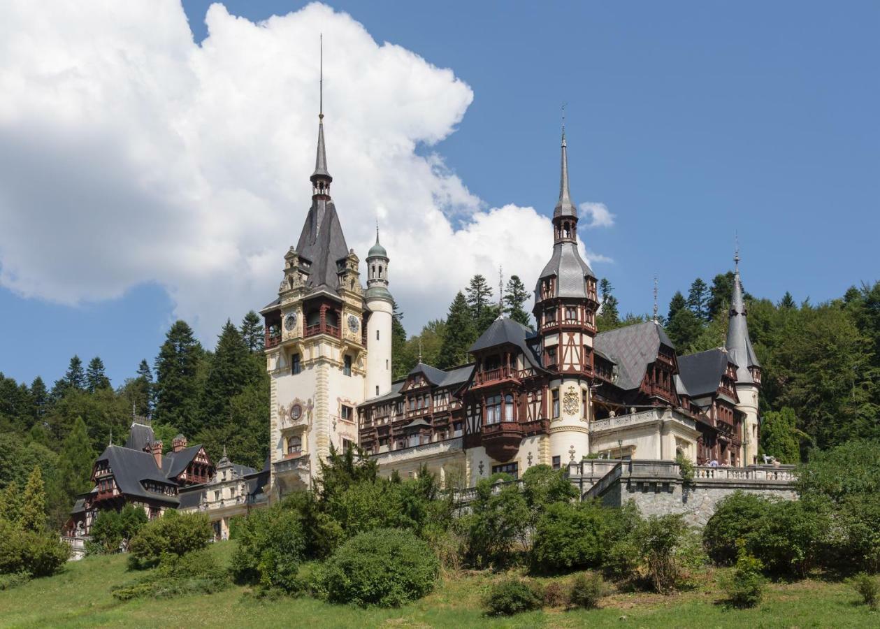 Apartament Mont Blanc Sinaia Exterior photo